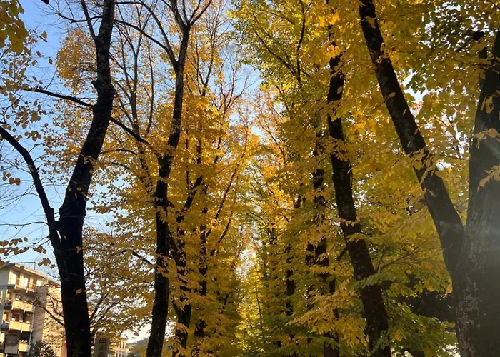 Orcagna 10 Elegante *